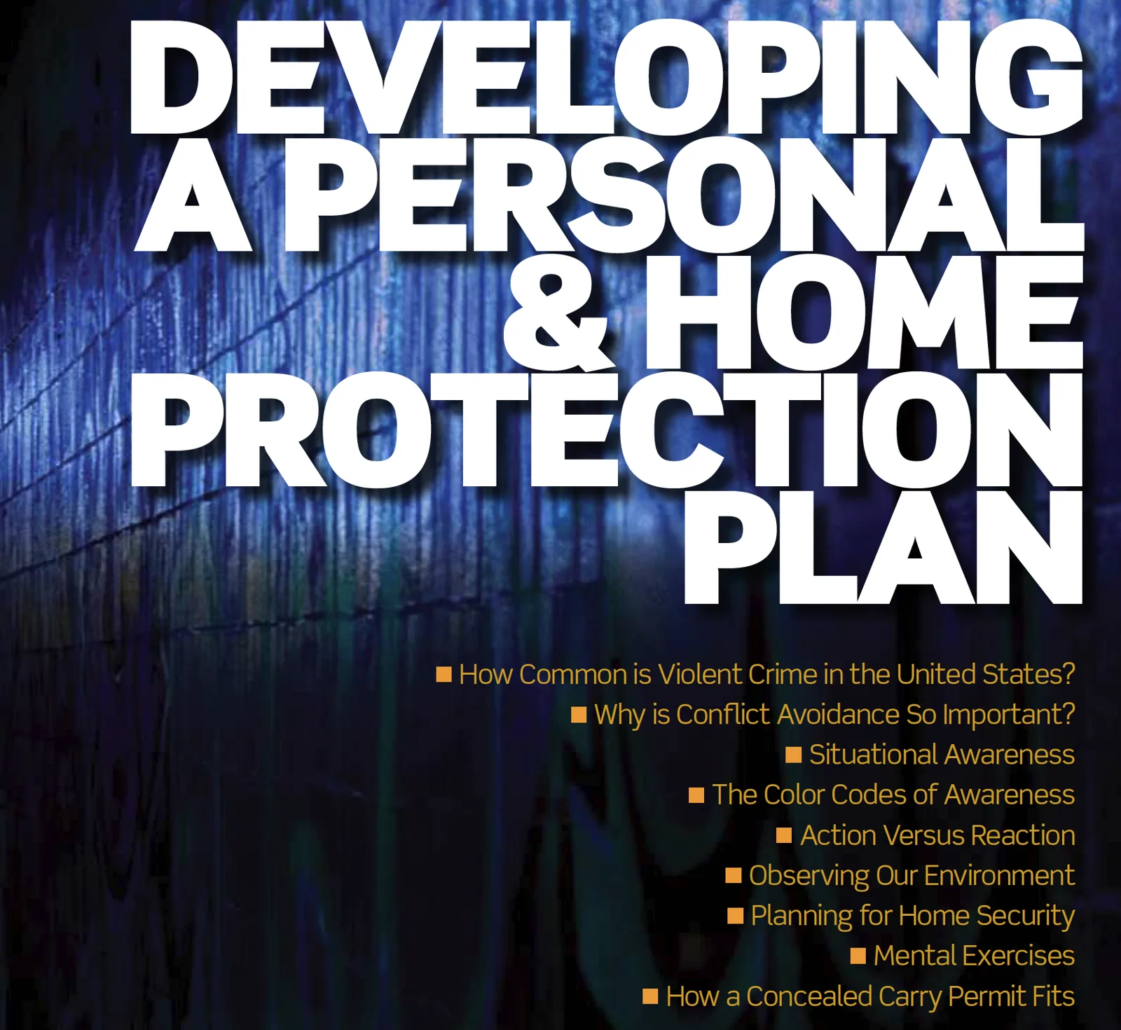 Developing A Personal & Home Protection Plan