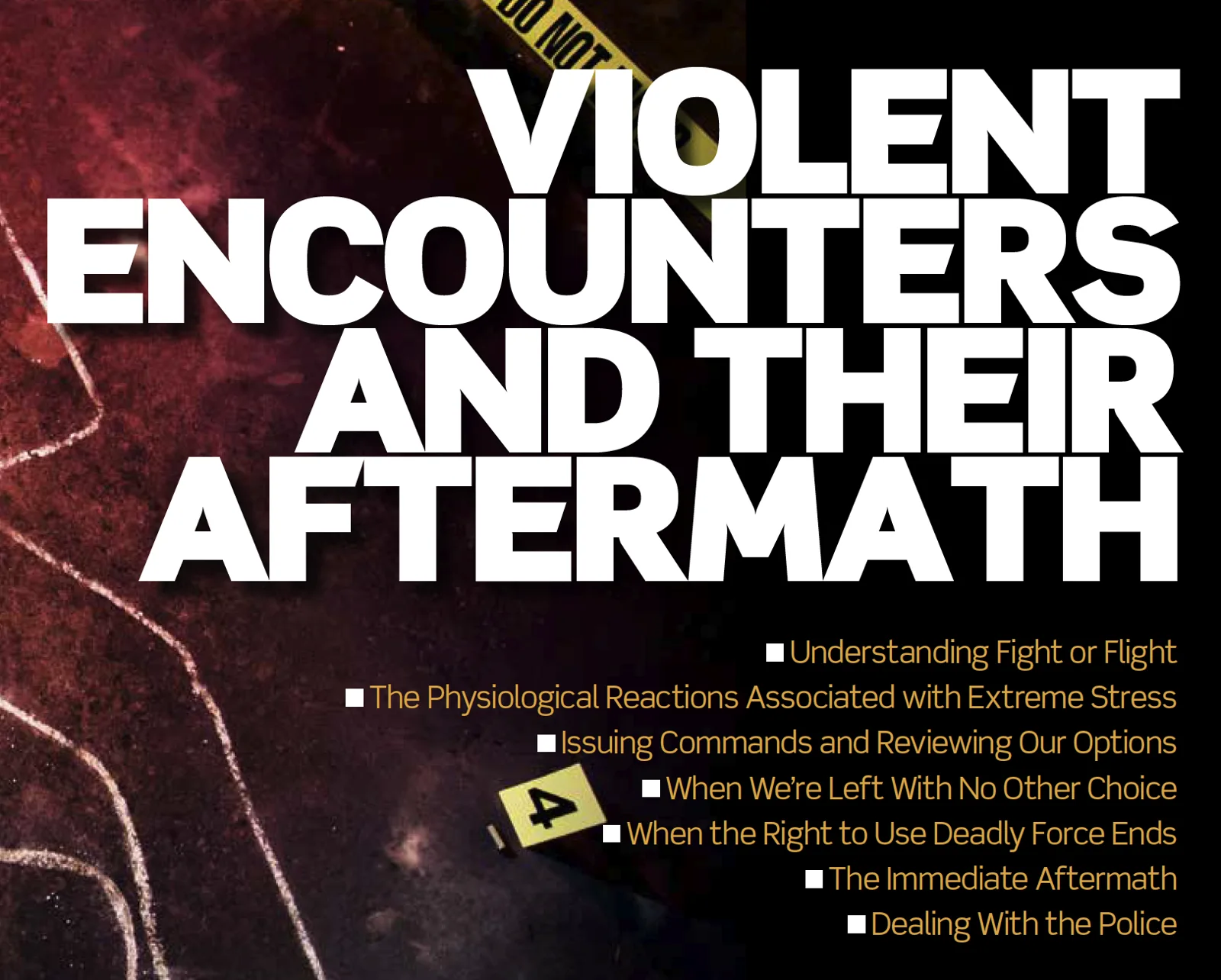 Violent Encounters and The Aftermath